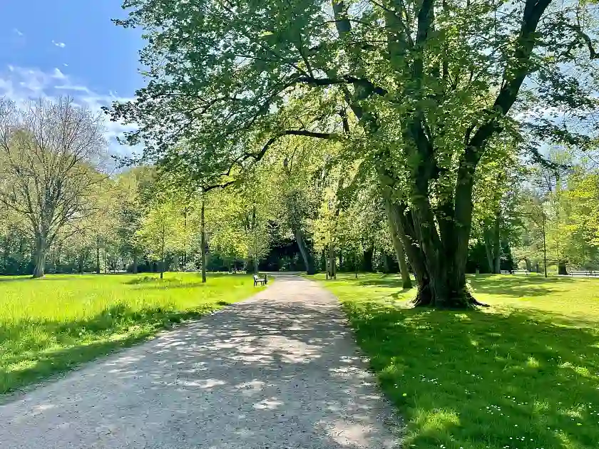 Weg im Bürgerpark umsäumt von grünen Bäumen und Wiesen